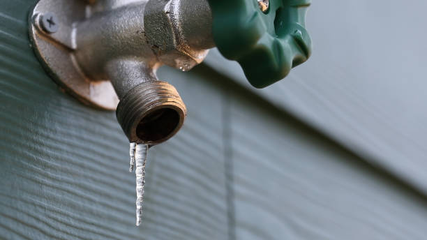 Best Commercial Plumbing Services  in Lewisburg, TN